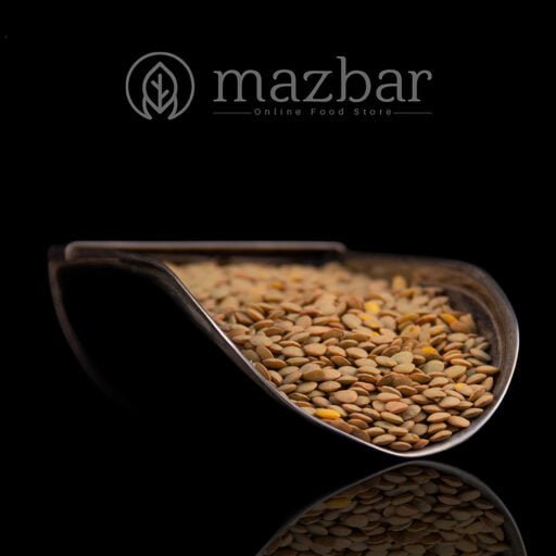 عدس درشت