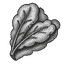 کاهو